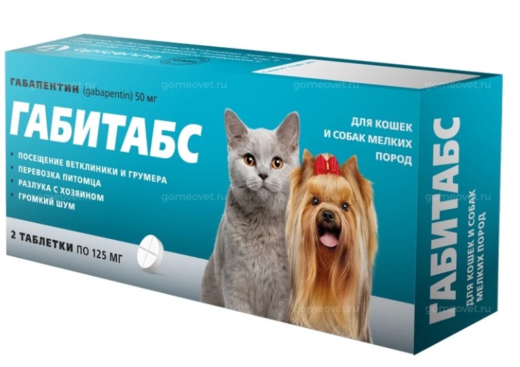 Почему ветеринары рекомендуют Габитабс для кошек?